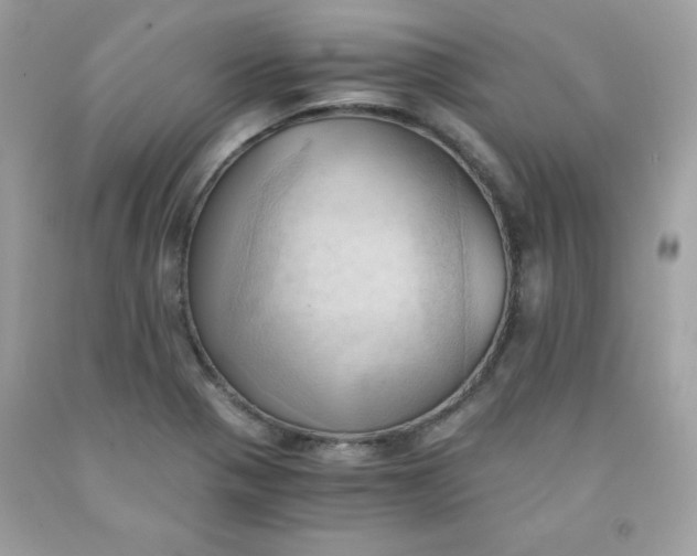 X0000091571321200709051030