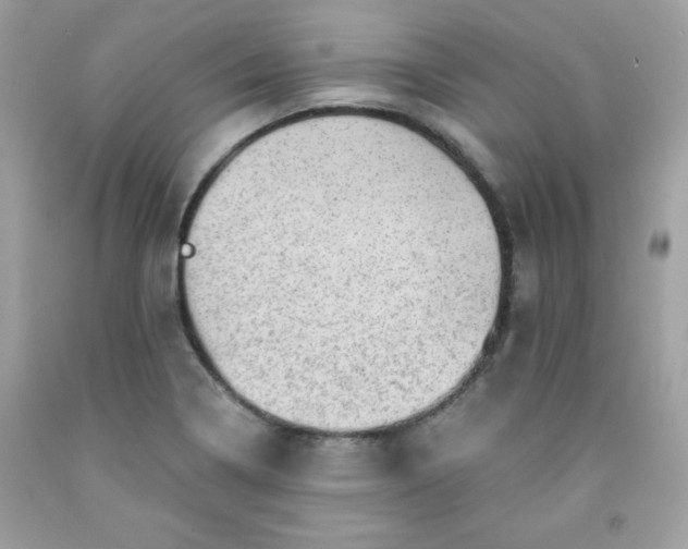 X0000091571322200709051030