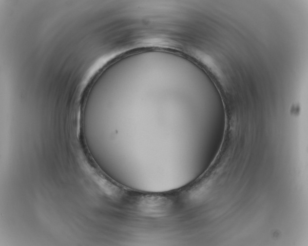 X0000091571323200709051030