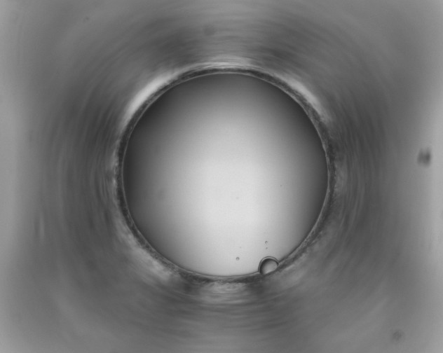 X0000091571325200709051030