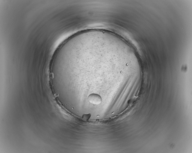 X0000091571328200709051030