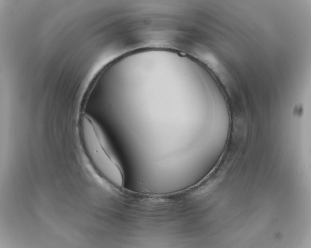 X0000091571331200709051030