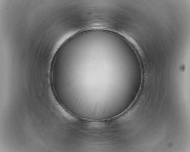 X0000091571333200709051030
