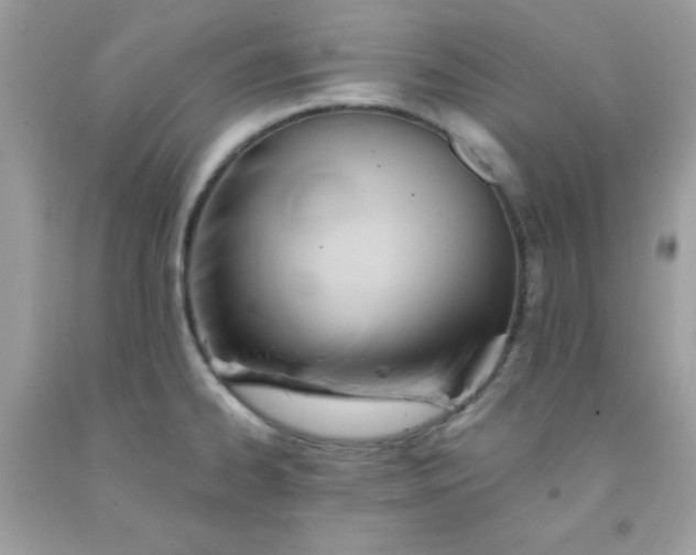 X0000091571334200709051030