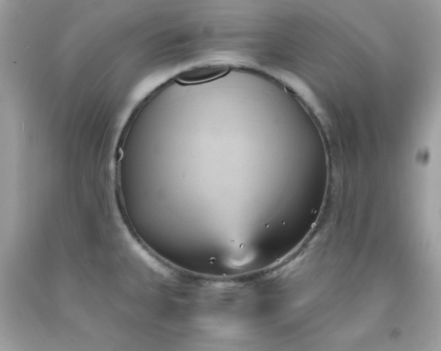X0000091571335200709051030