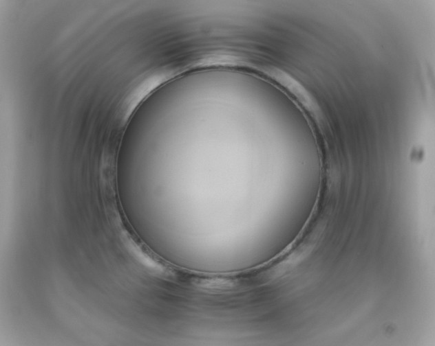 X0000091571337200709051030