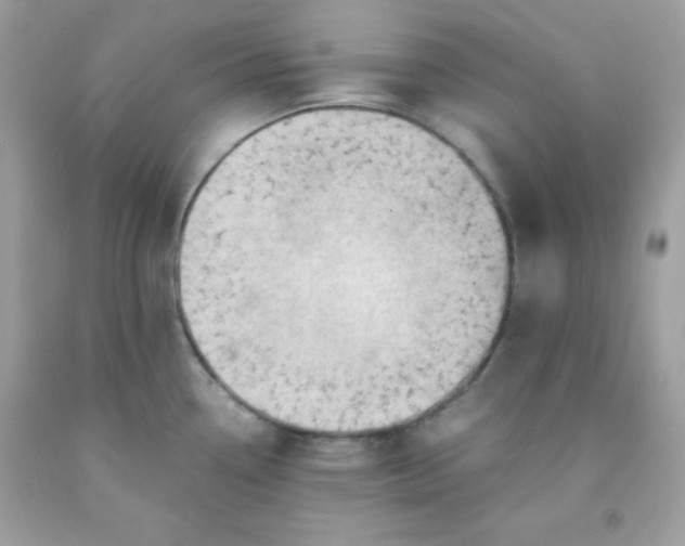 X0000091571338200709051030