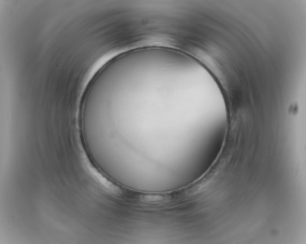 X0000091571339200709051030