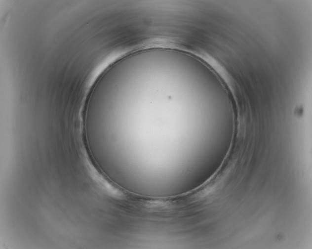 X0000091571341200709051030