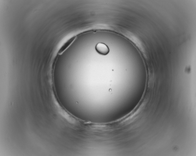 X0000091571342200709051030