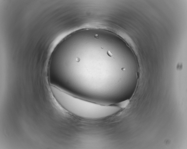 X0000091571344200709051030
