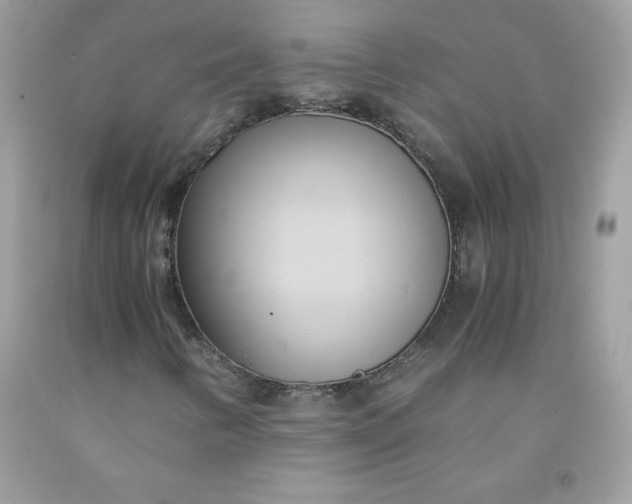 X0000091571346200709051030