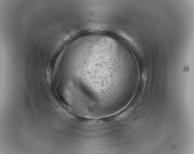 X0000091571348200709051030
