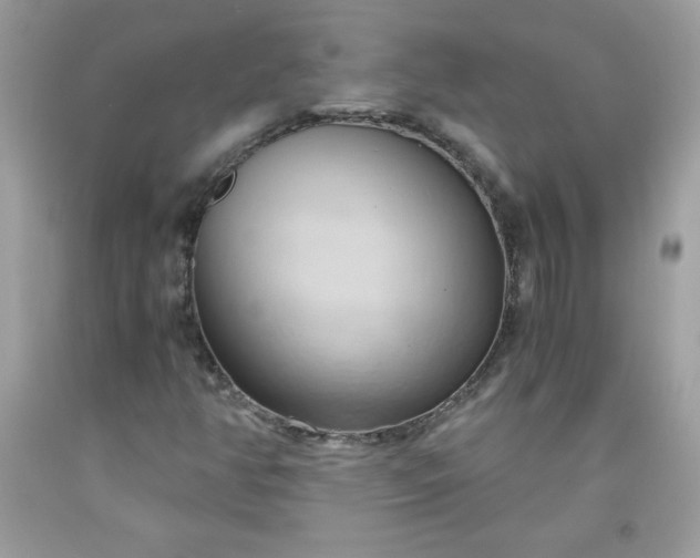 X0000091571350200709051030
