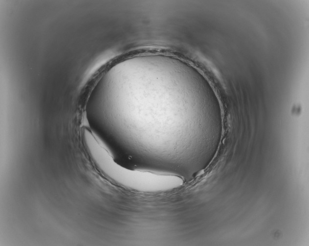 X0000091571352200709051030