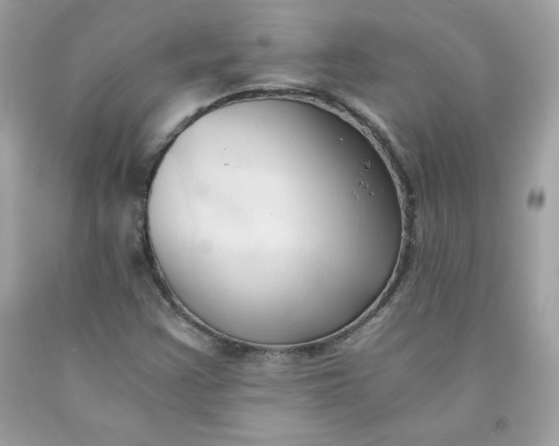 X0000091571355200709051030