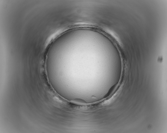 X0000091571357200709051029
