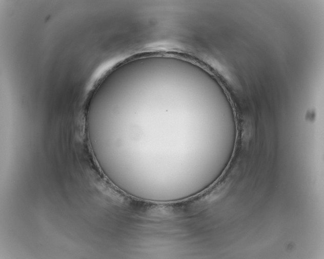 X0000091571358200709051029