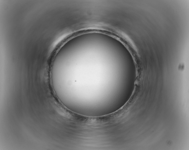 X0000091571360200709051029