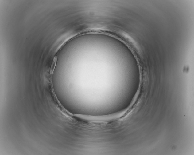 X0000091571361200709051029
