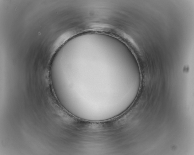 X0000091571362200709051029