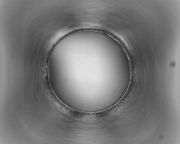 X0000091571363200709051029