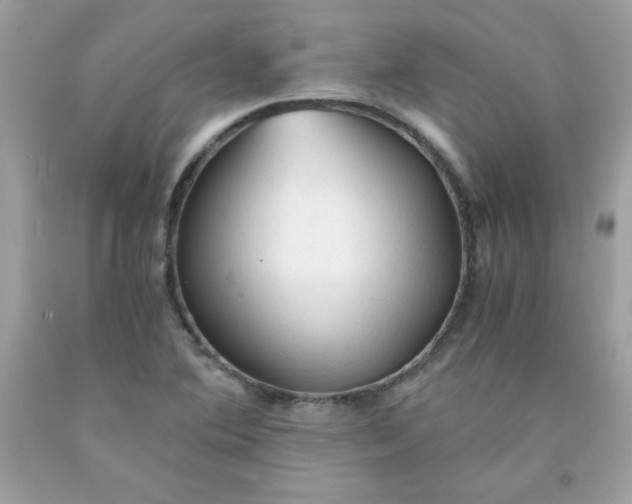 X0000091571364200709051029