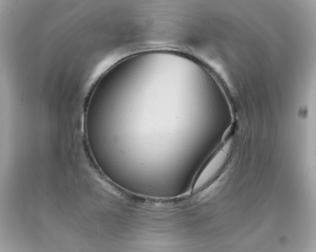 X0000091571365200709051029