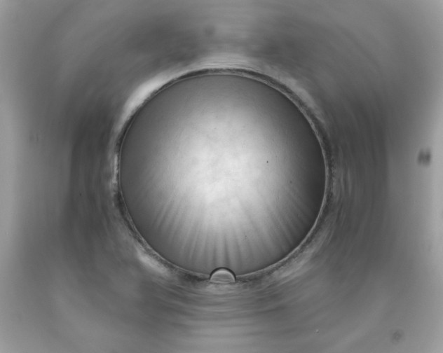 X0000091571366200709051029