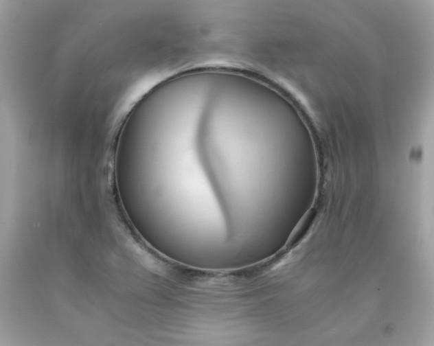 X0000091571367200709051029