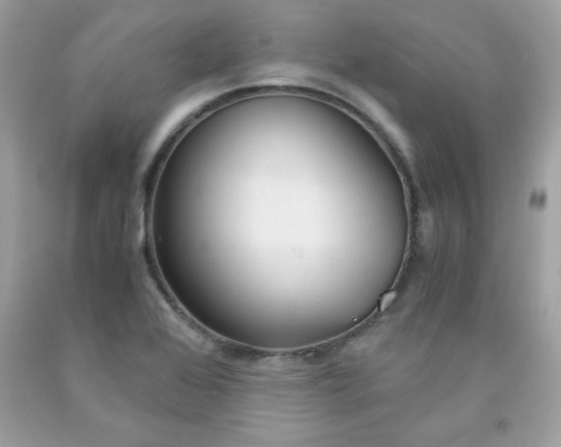 X0000091571368200709051029