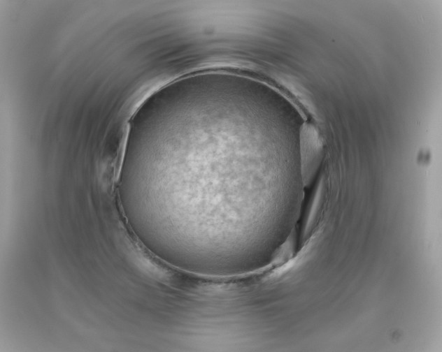X0000091571369200709051029