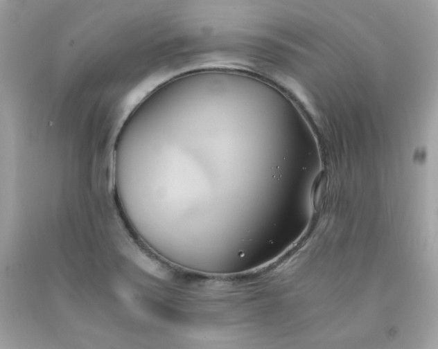 X0000091571371200709051029