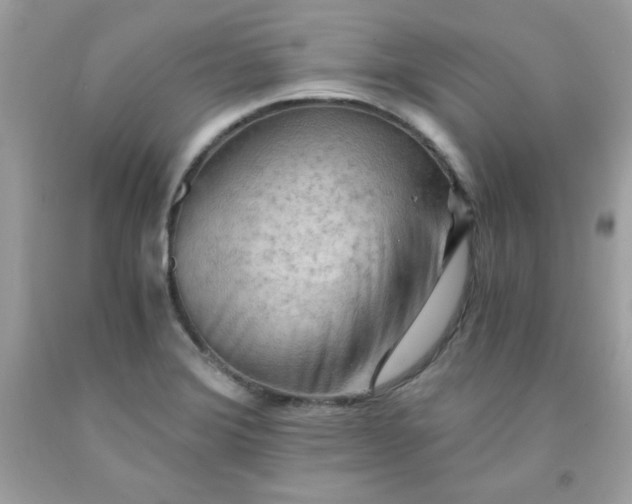 X0000091571372200709051029