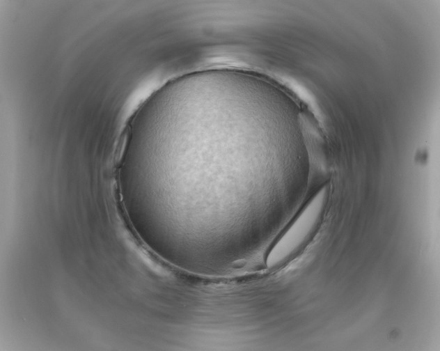 X0000091571373200709051029