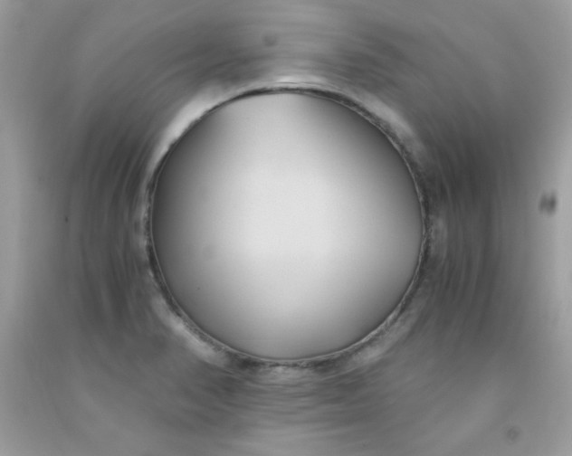 X0000091571374200709051029