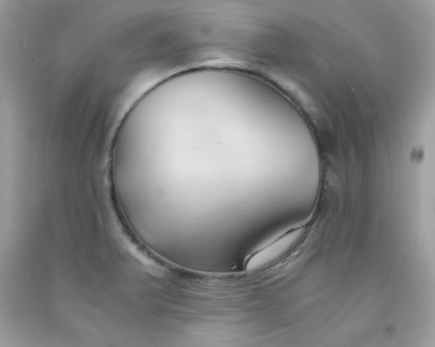 X0000091571375200709051029