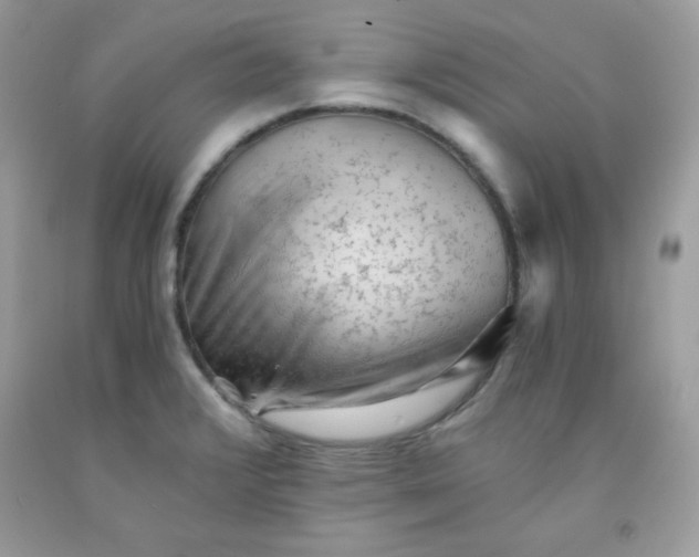 X0000091571376200709051029