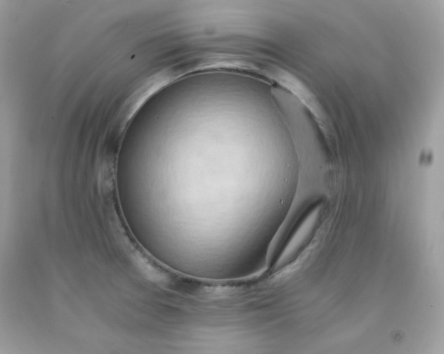 X0000091571377200709051029