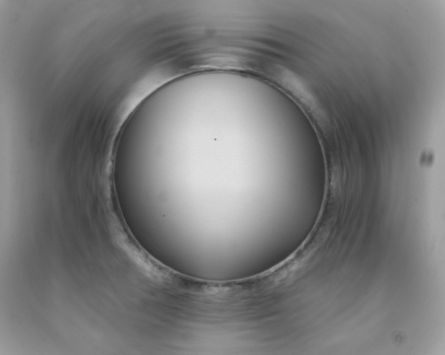 X0000091571378200709051029