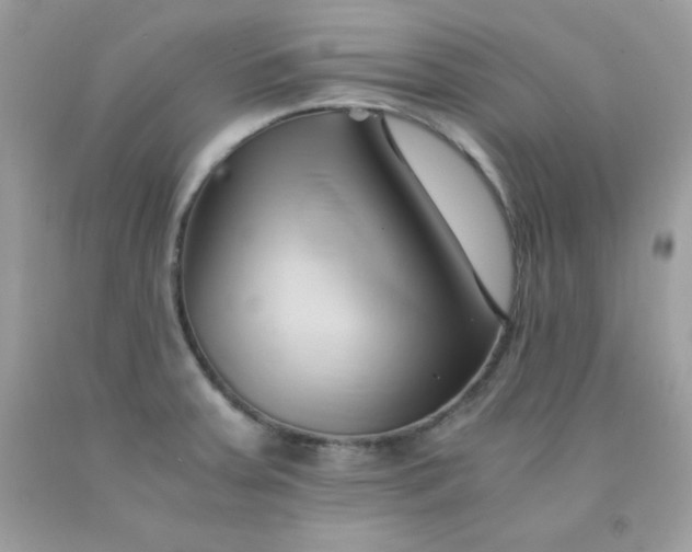 X0000091571379200709051029