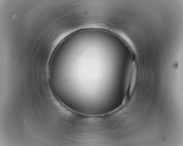 X0000091571380200709051029