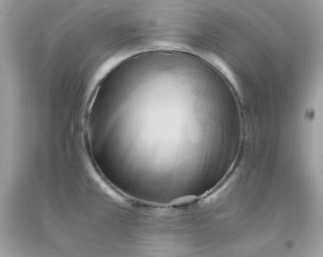 X0000091571381200709051029