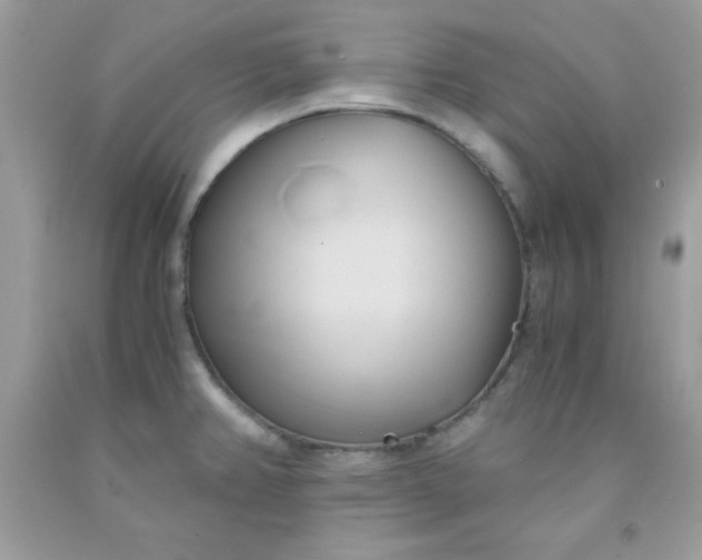 X0000091571382200709051029