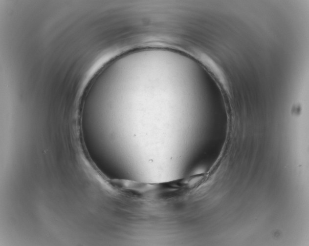X0000091571384200709051029