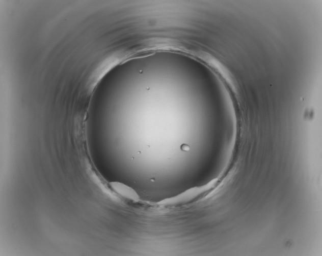 X0000091571385200709051029