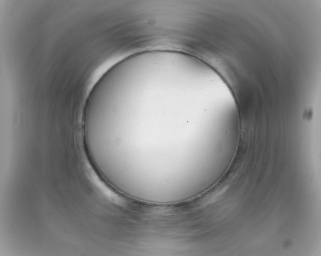 X0000091571387200709051029