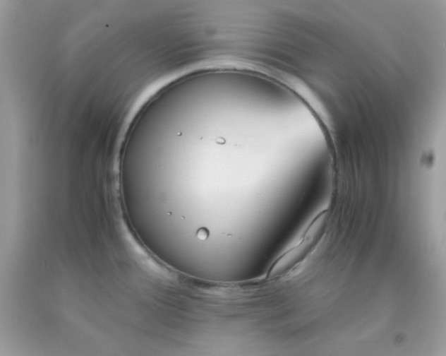 X0000091571388200709051029