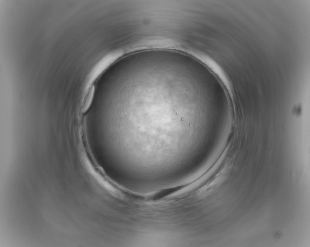 X0000091571389200709051029