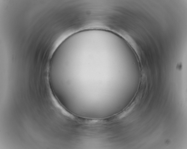 X0000091571390200709051029